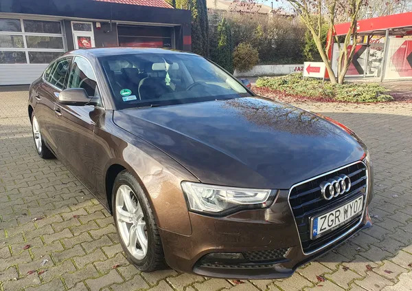 gryfino Audi A5 cena 62900 przebieg: 158255, rok produkcji 2014 z Gryfino